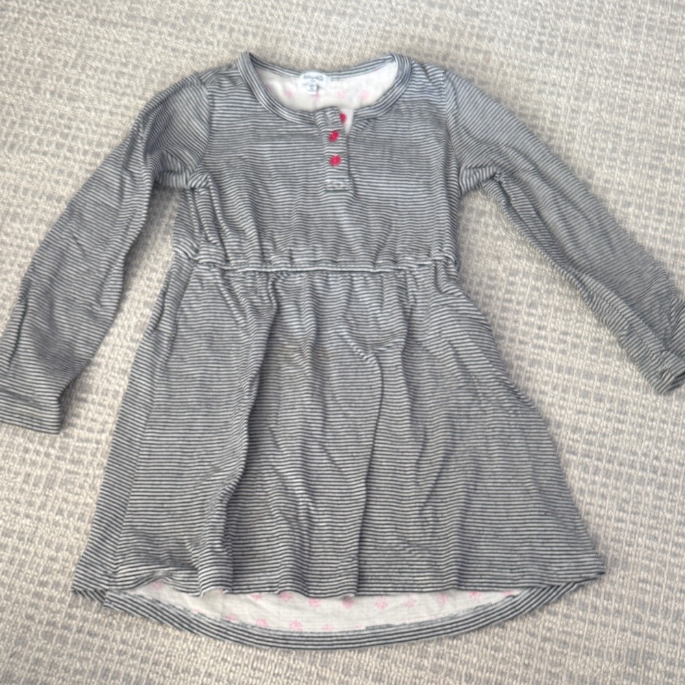 Splendid Striped Long Sleeve Dress with Pink Accents and Lining
